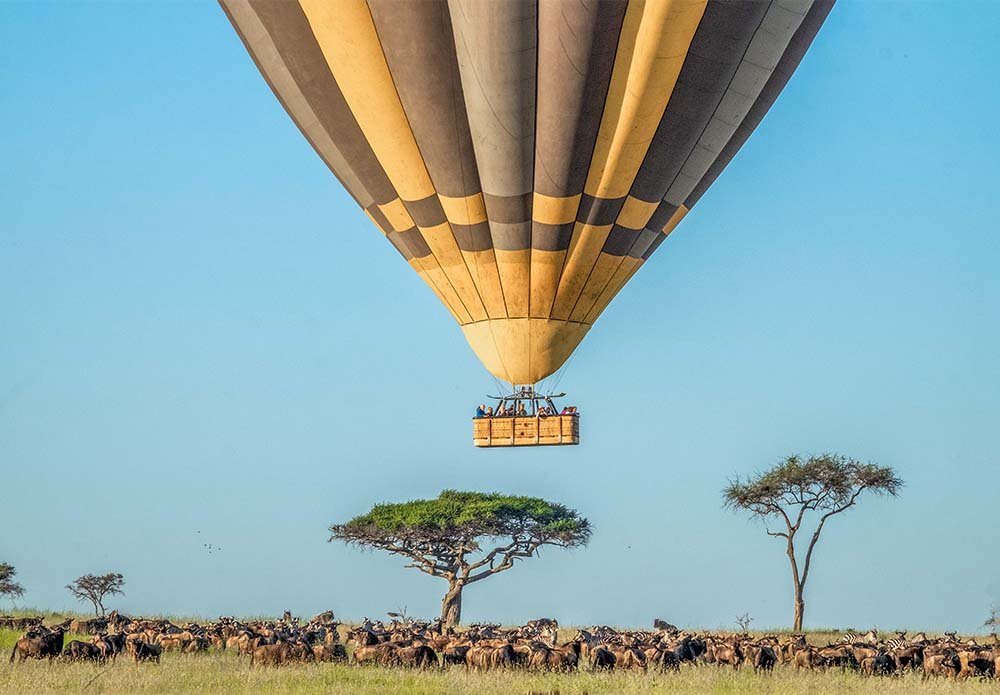 wildebeest Migration with Miracle Experience Balloon Safaris